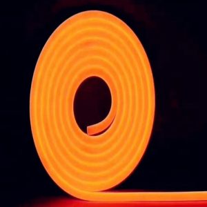 Neon LED SILICONE 12V IP67 8x16 co 2